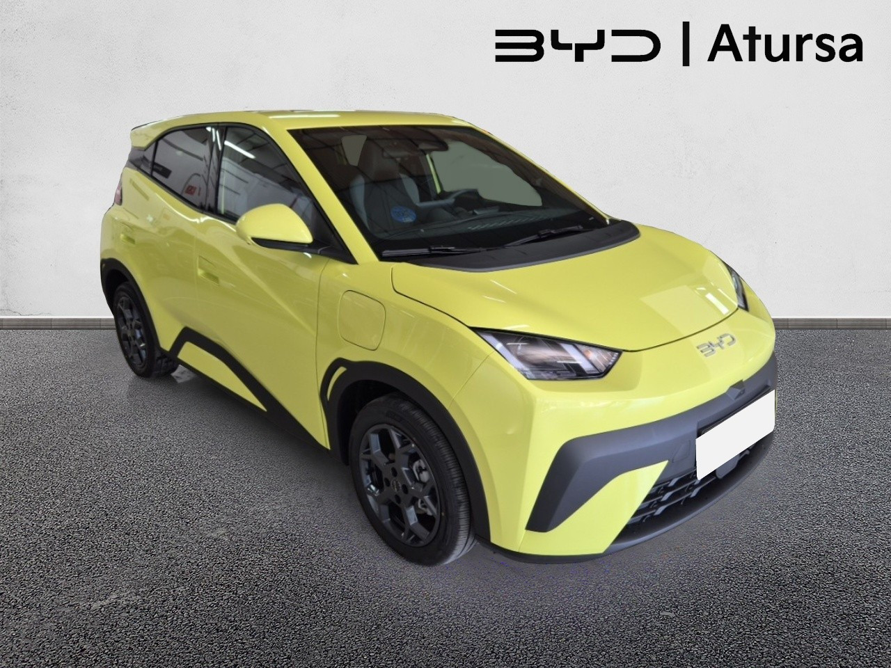 BYD DOLPHIN SURF COMFORT