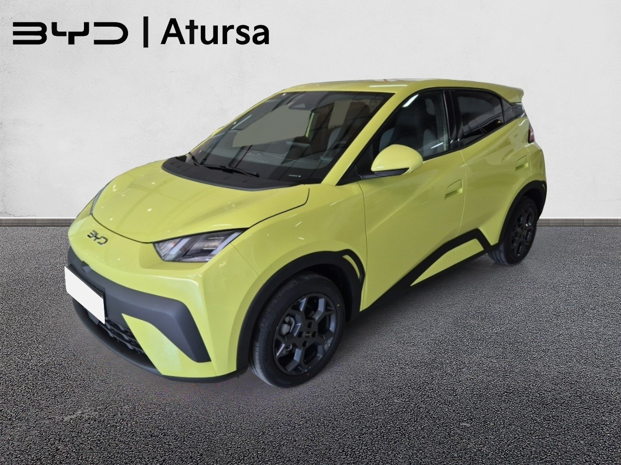 BYD DOLPHIN SURF - Imagen 2