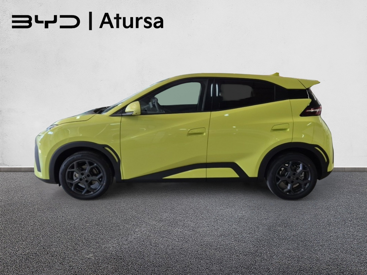 BYD DOLPHIN SURF - Imagen 6