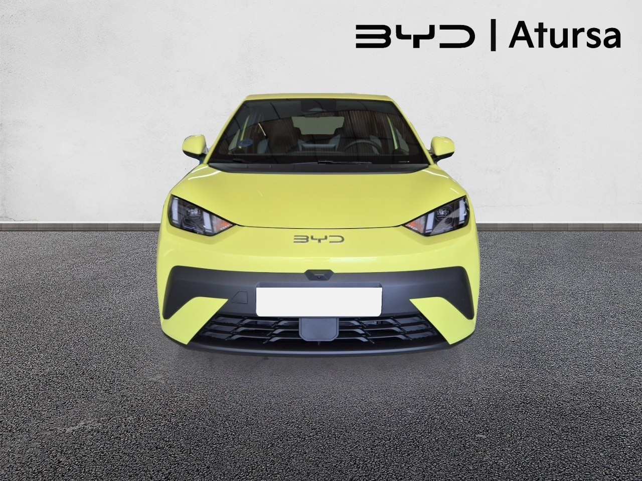 BYD DOLPHIN SURF - Imagen 3