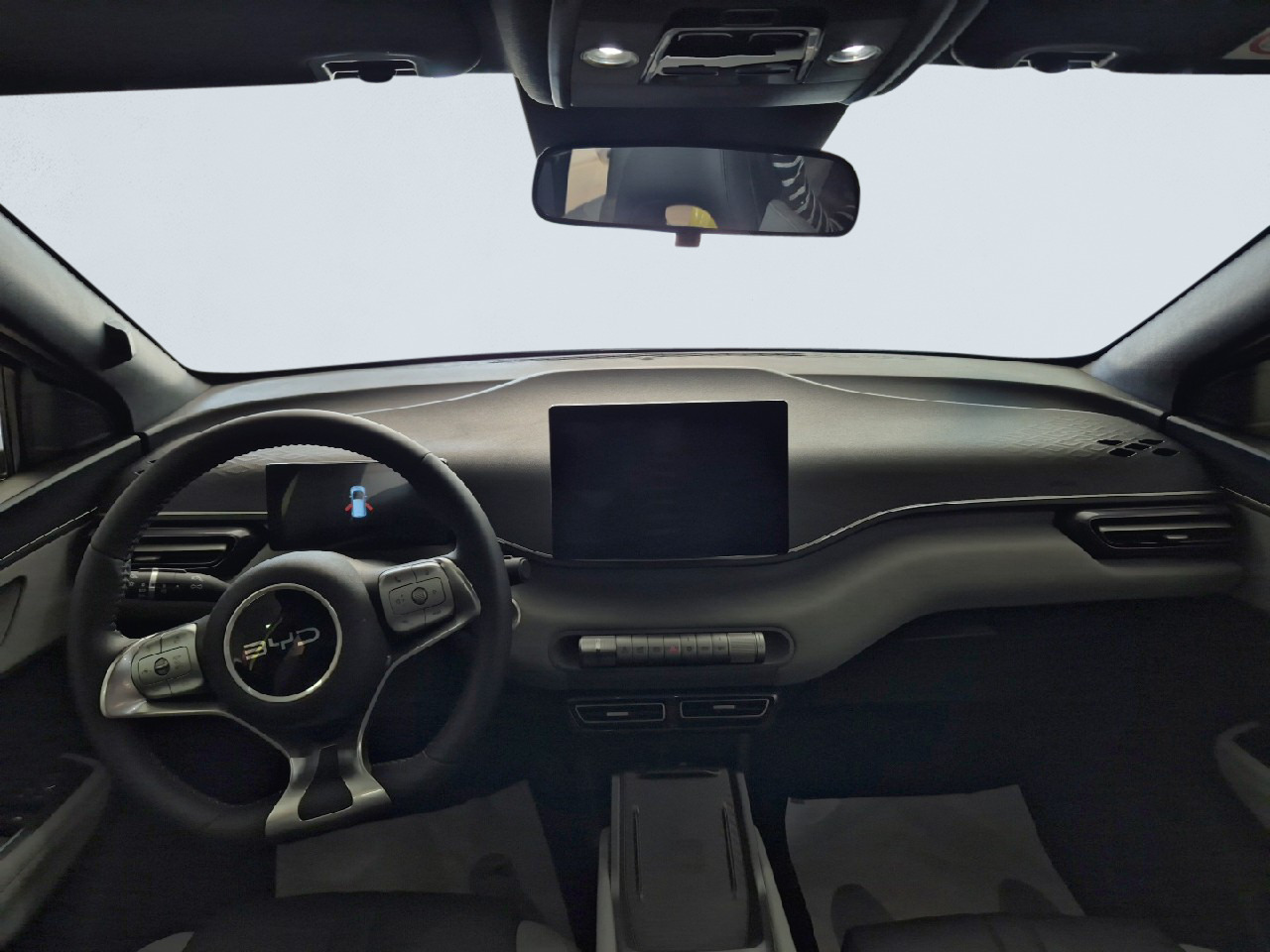 BYD DOLPHIN SURF - Imagen 11