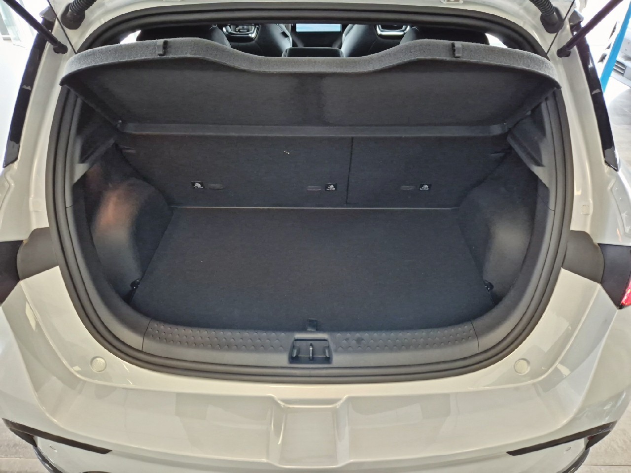 BYD DOLPHIN - Imagen 20