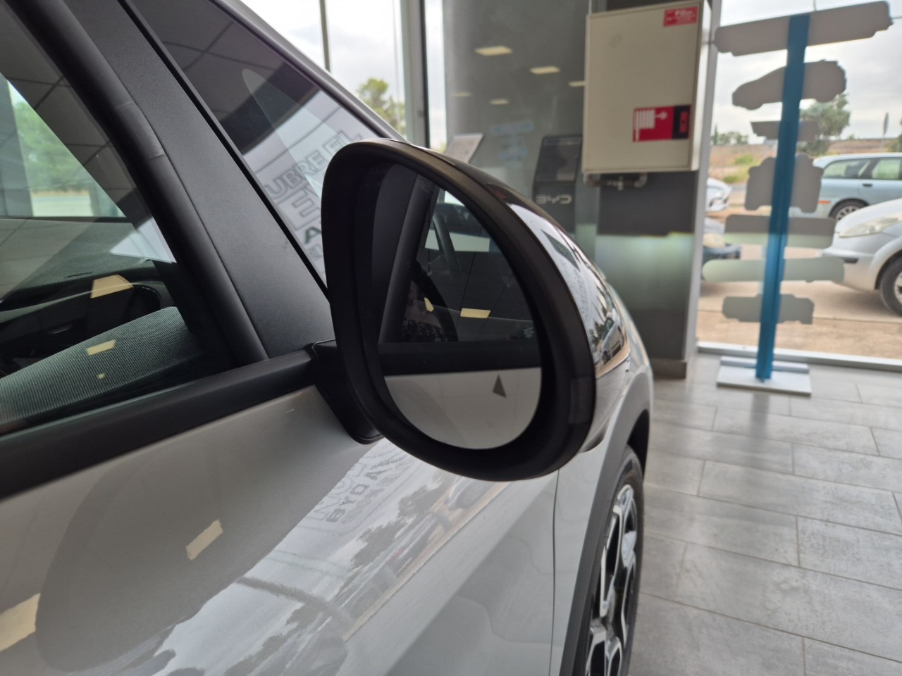 BYD DOLPHIN - Imagen 11