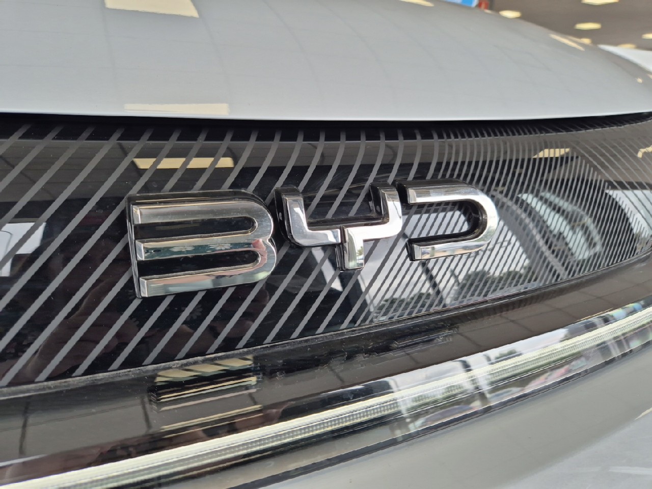 BYD DOLPHIN - Imagen 12